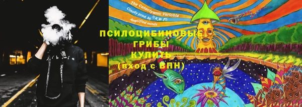 ПСИЛОЦИБИНОВЫЕ ГРИБЫ Волгодонск