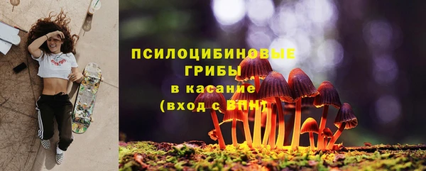 дурь Мегион