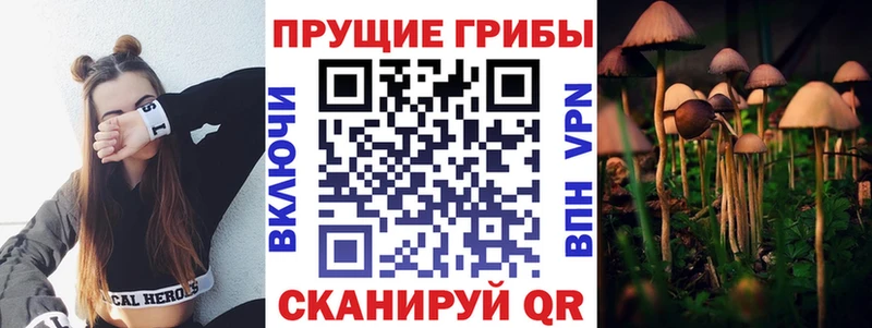 Псилоцибиновые грибы MAGIC MUSHROOMS  Партизанск 
