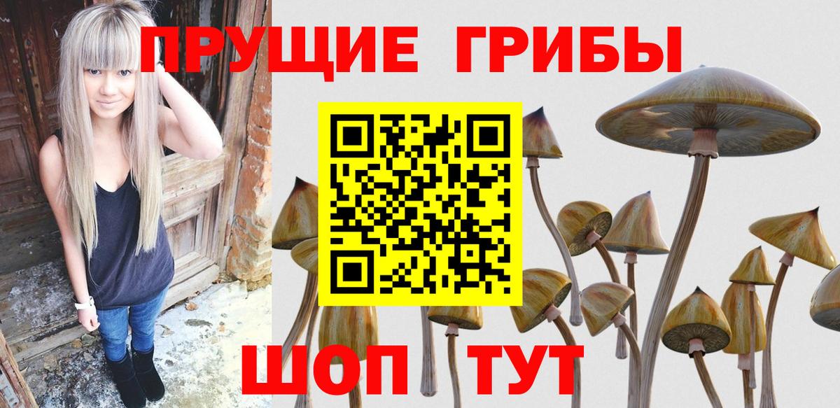 Партизанск  купить наркоту  Вход с VPN  Псилоцибиновые грибы GOLDEN TEACHER 